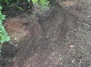 Weeding by Mike Meadows for William L. in Midwest City, OK