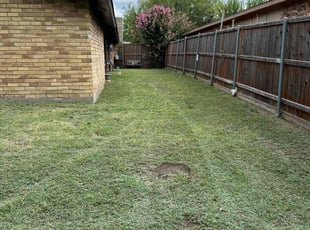 Grace J.'s Lawn Maintenance service result
