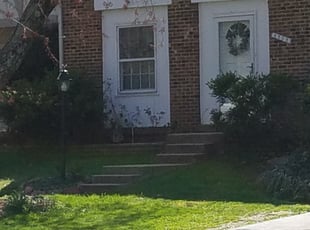 Leaf Removal by Mark Burke for Lewis G. in Centreville, VA