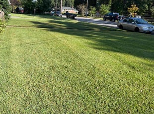 Alisse S.'s Lawn Care service result