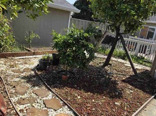 Weeding by Christopher Lim for Safoora T. in Santa Clara, CA