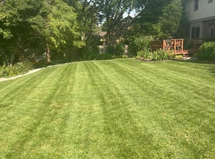 Pat C.'s Yard Cutting service result