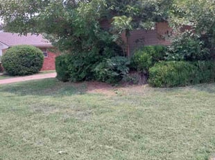 Bush Trimming by Edwin Williams for Chris C. in Oklahoma City, OK