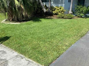 James H.'s Lawn Mowing service result