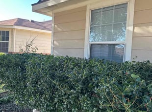 Bush Trimming by Patrick Stewart for Tamara A. in McKinney, TX