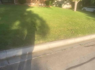Erik S.'s Lawn Mowing service result