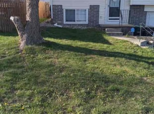 Leaf Removal by MICHAEL OFLAHERTY for Thomas G. in Omaha, NE