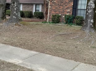 Cleanups by Joe Miller for Bryant J. in Memphis, TN