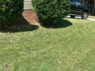 Lisa C.'s Bush Trimming service result