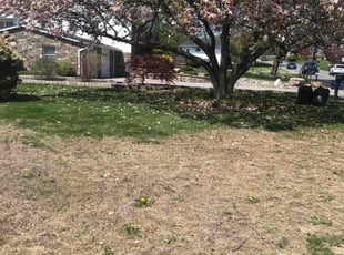 Cleanups by Johnny Reese for Gavin P. in New Windsor, NY