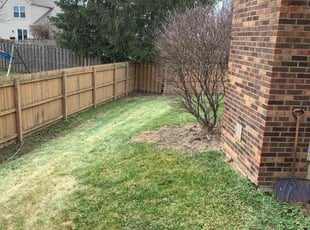 Leaf Removal by B.J. Schuetz for Bryan B. in Hilliard, OH