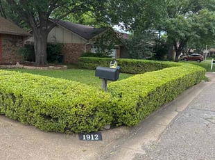 Bush Trimming by Brennen Dikes for Dennis O. in Arlington, TX