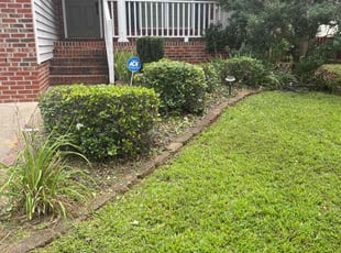 Bush Trimming by Doyle Napper for Elizabeth M. in Whitsett, NC