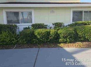 Bush Trimming by Elvis Pintado for Son D. in Tampa, FL