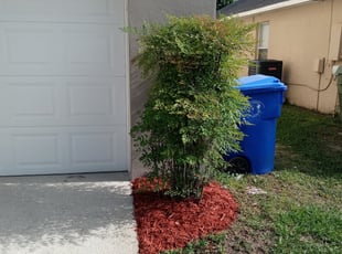 Landscaping by Robert Dixon for Brian A. in Kissimmee, FL