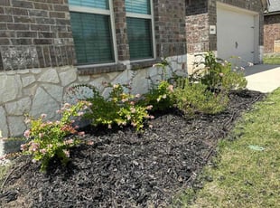 Rachelle B.'s Flower Bed Weeding service result