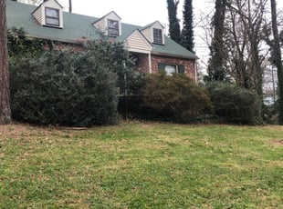 Bush Trimming by Recardo Hunter for Christian H. in Richmond, VA