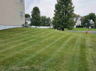 Eurana R.'s Yard Cutting service result