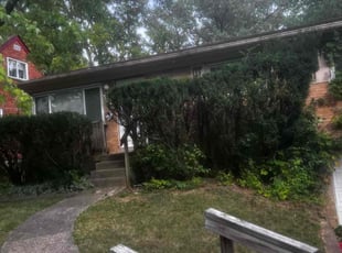 Bush Trimming by James Abernathy for Greg W. in Cincinnati, OH