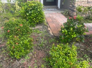 Bush Trimming by Paul Bartholomew for Tina A. in Palm Bay, FL