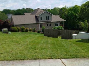 Fany C.'s Lawn Mowing service result
