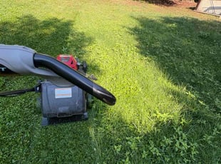 Olivia O.'s Bush Trimming service result