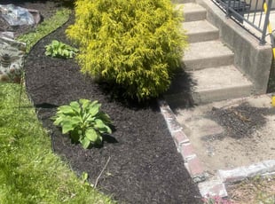 Mulching by Nathaniel Turnbow for Michelle C. in Cincinnati, OH