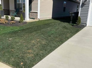 Sally J.'s Lawn Service service result
