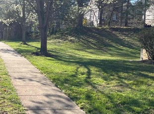 Leaf Removal by JosuΓ© and Eduardo Tena for Steve B. in Laurel, MD