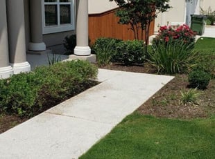 Bush Trimming by Tim Ahern for Vivek A. in Leander, TX