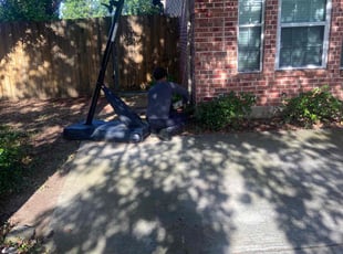 Vernon W.'s Bush Trimming service result