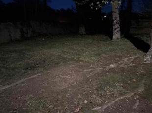 Cleanups by Adam Hood for Kristin F. in Greensboro, NC