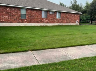 Doretha M.'s Lawn Mowing service result