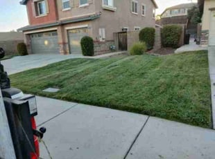 Jenny S.'s Lawn Maintenance service result