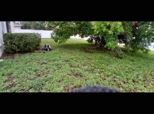 Leaf Removal by William Chavers for Estelle E. in Riverview, FL