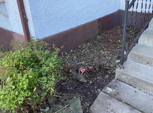Cleanups by Timothy Miller for DYLAN R. in Minneapolis, MN
