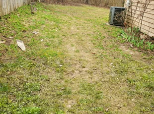 Cleanups by Octavio Rosas for Allan N. in Nashville, TN