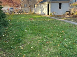 Leaf Removal by Xavier Thomas for Jennifer G. in Milwaukee, WI
