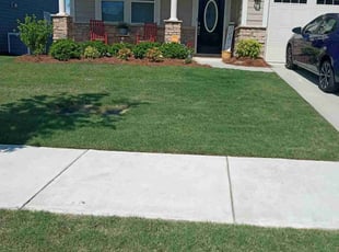 Donald H.'s Grass Cutting service result