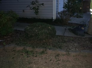 Bush Trimming by Monteith Johnson for Brian S. in Charlotte, NC