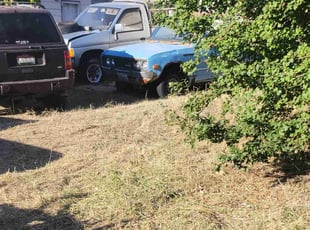 Bush Trimming by DD Lawncare for Dennis F. in Spokane, WA