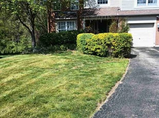 Bush Trimming by Caleb Patton for Brandon A. in Cincinnati, OH