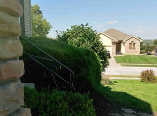 Bush Trimming by Dartellee Foster for Jen R. in Papillion, NE