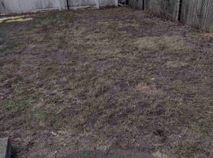 Cleanups by Matthew Spinelli for Mika M. in Bridgeport, CT