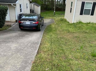 Bush Trimming by Erica Smedley for Michael S. in Pineville, NC