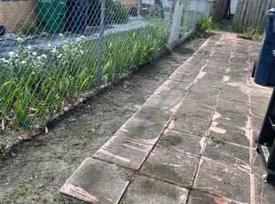Weeding by Isaiah Fiechtner for Shawn M. in Tampa, FL