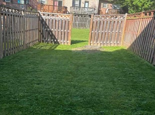 Roger W.'s Lawn Mowing service result