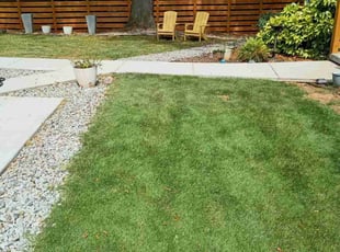 Mickala W.'s Lawn Mowing service result