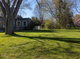 Svetlana A.'s Grass Cutting service result