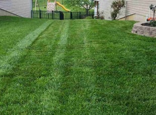 Misty N.'s Lawn Maintenance service result